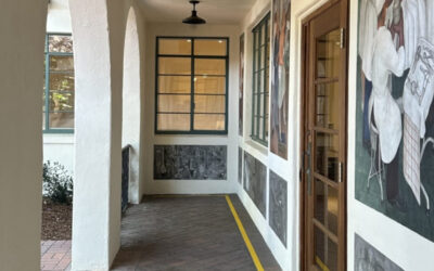 Board Leadership Updates at the Palo Alto Museum